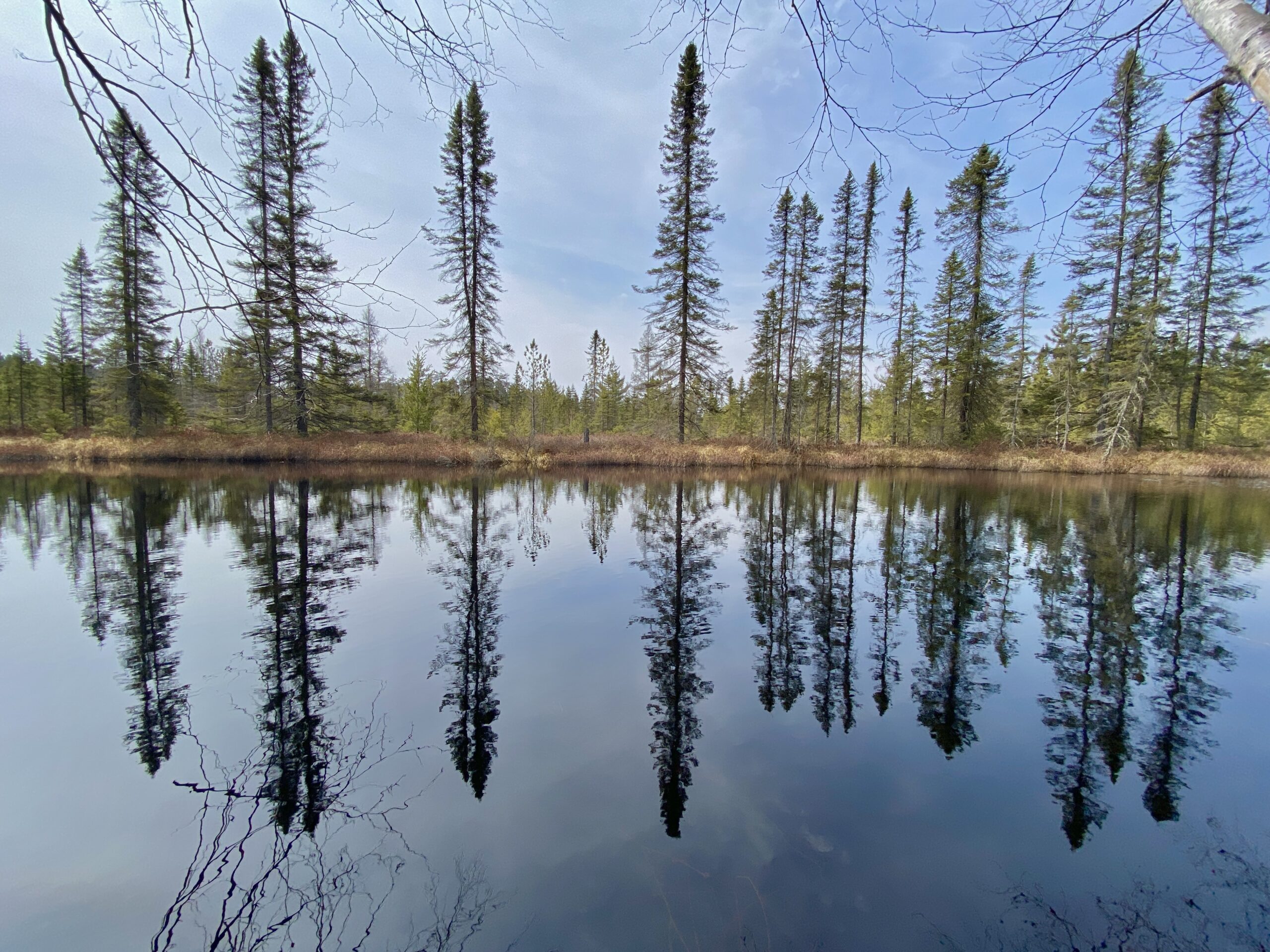 Birchleggings Club Minocqua Winter Park Outing