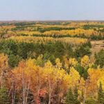 Drive up days header