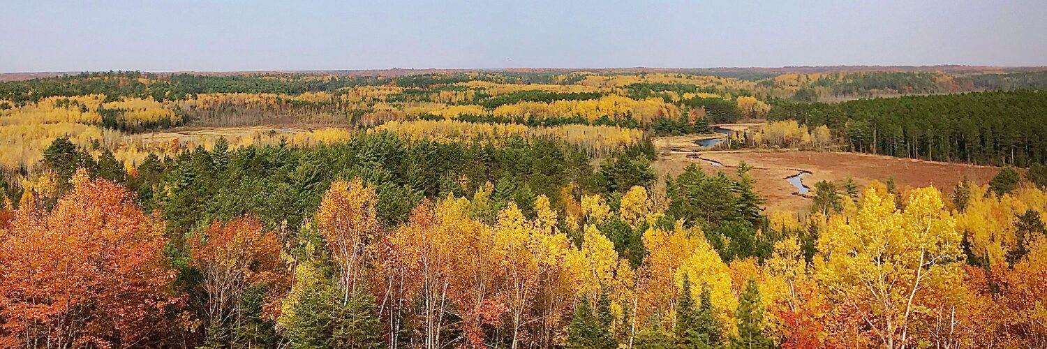 Fall Drive Up Days