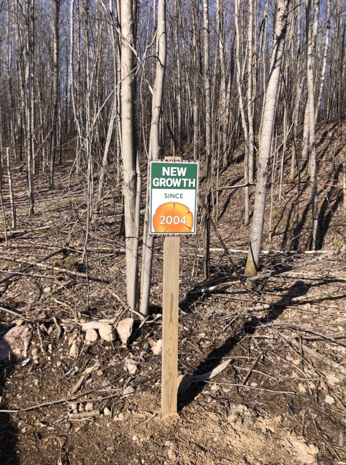 L00102 seedlings pic 7 on 05 03