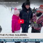 Screenshot 2026 01 27