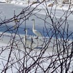 500309373 1254999946634170 7346392667003110190 n