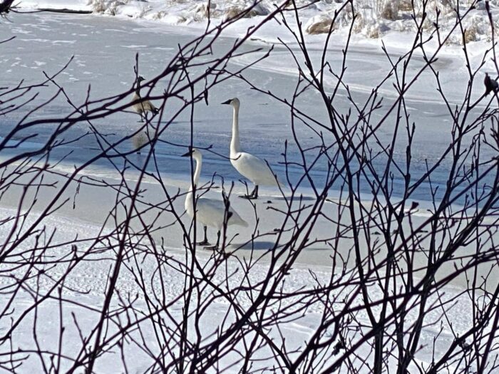 500309373 1254999946634170 7346392667003110190 n