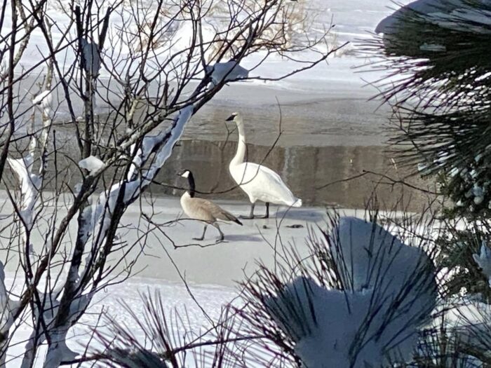 500341335 1254999933300838 7390787202772426479 n